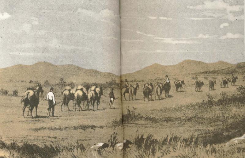 william r clark fohn forres expedition rastar nara murchison flodes kallor under farden 1874 fran vastra australien till telrgraflinjen soder om alice springs.